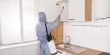 Smart Solutions for Pest-Proofing Your Kitchen Space